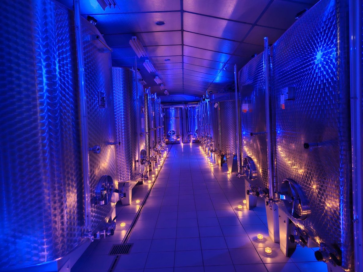 WhatsApp Image 2025-11-13 à 21.42.54_ccf6bddc.jpg